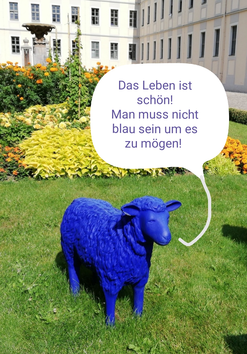Das Leben ist schön machtmichfroh.de